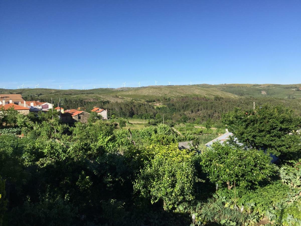 Casa Dos Pisoeiros Montemuro/Douro São Joaninho Eksteriør billede